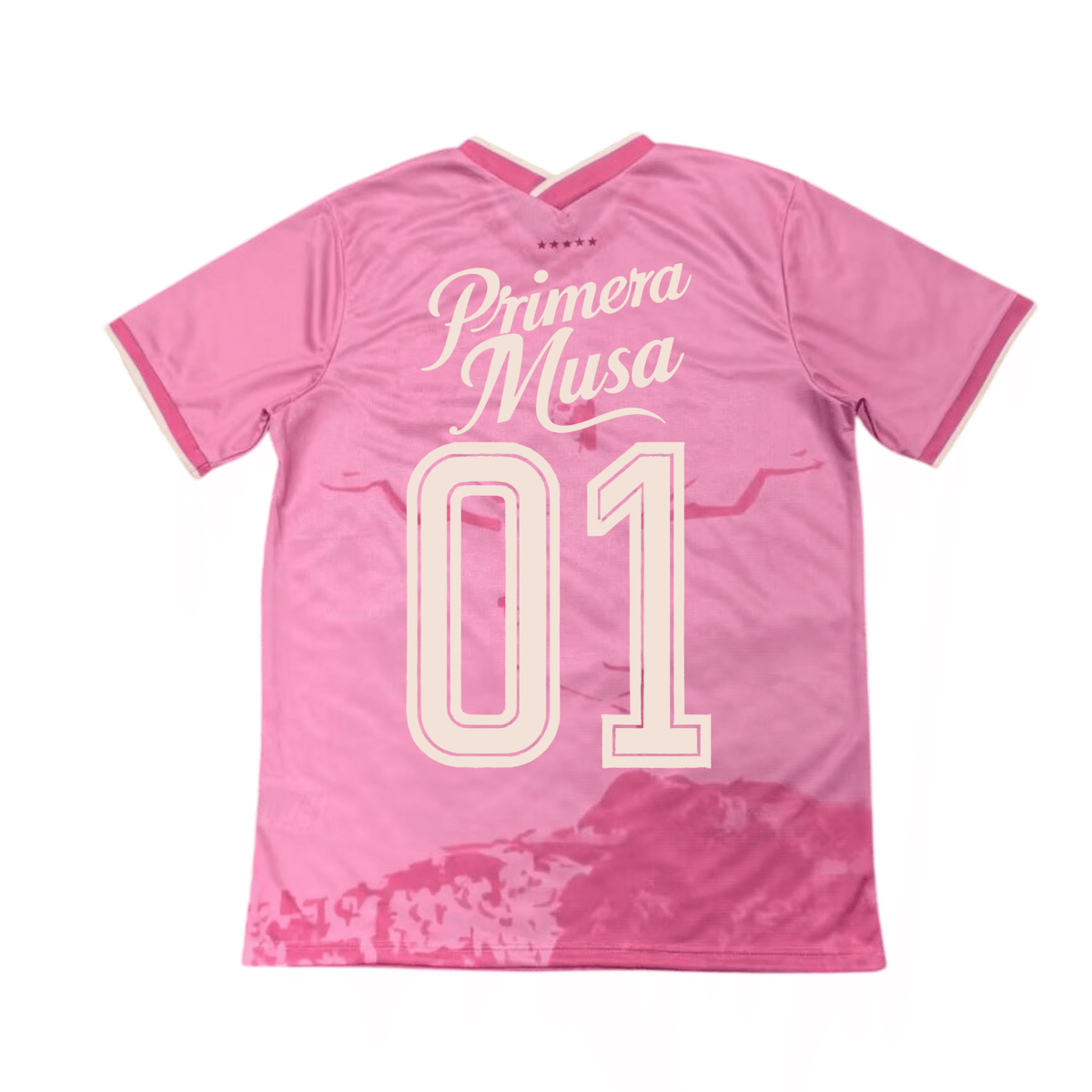 Camiseta Brasil x Omar Courtz